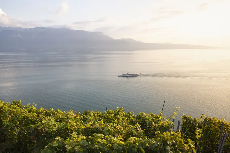 2M2C View of the Lake in Montreux